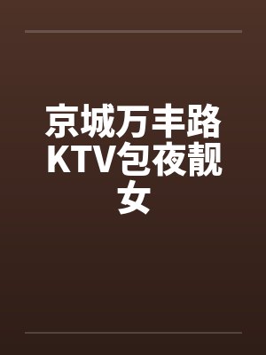京城万丰路KTV包夜靓女